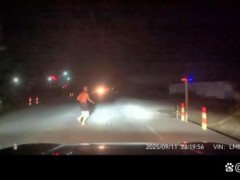 男子过马路被撞又遭二次碾压担责48% 行人{加速}横穿负主责